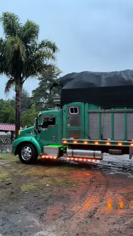 👌🏽💯🌳#choferespadrejesus #purocarrosexi🚛 #planterostruking❤️🌻 #lopez #robandomiradassobrela57🇵🇷🇬🇧🇲🇽🇨🇦🇱🇷 