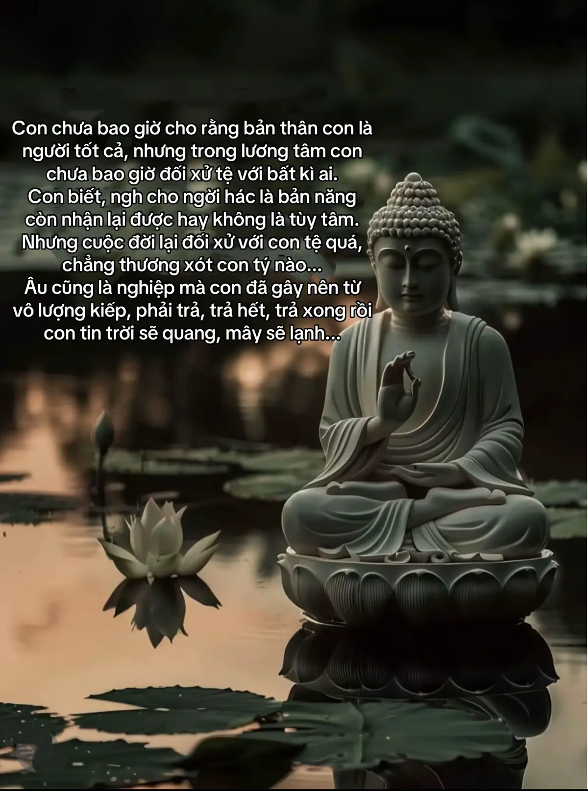 #hocphatmoingay #phatphapnhiemmau #nhatduong #nammoadidaphat #cuocsong #binhyen #tamtinh 