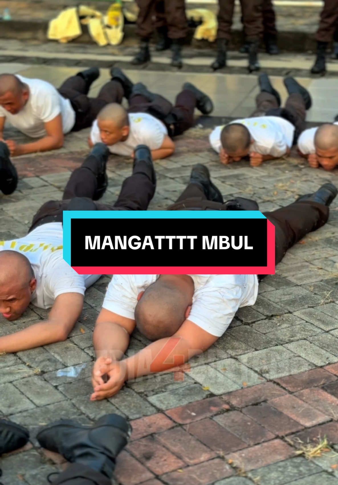 Tetap semangattt mbullll xixixixi habis pelatihan langsung turun 10kg ya😁👍 . Yuk informasi pelatihan satpam bisa langsung hubungi nomor di bio ya❤️✨ . Dan jangan lupa follow akun sosial media @media.4bintang di Tiktok dan Instagram Bukan kami jika kontennya biasa biasa saja🥵🥶 . Nantikan kami di kota kota anda‼️ . ##foryoupage ##fypシ##fyp ##banggasatpam  ##akubanggasatpam##gadapratamasurabaya##gadapratamajawatimur##satpamindonesia ##luhurberjaya ##gadapratama  ##media4bintang##pelatihansatpamsurabaya ##infoloker ##infolokersurabaya  ##satpamsurabaya ##pelatihansatpam  ##infopelatihansatpam ##diklatsatpam  ##diklatgadapratama ##infolowongankerja##openrecruitmentsatpam