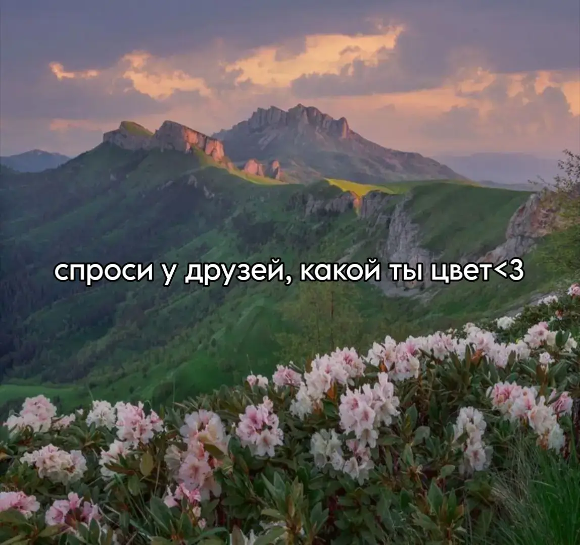 #рек #ryp #отмечайтедрузей #спросиудрузей #<3