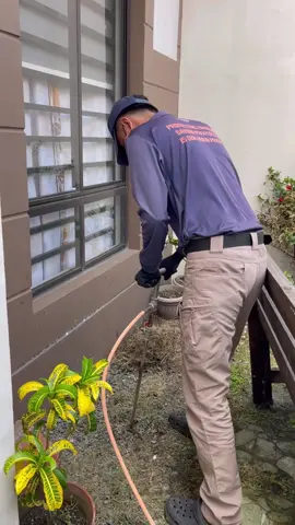 🚨 𝐁𝐄𝐇𝐈𝐍𝐃 𝐓𝐇𝐄 𝐒𝐂𝐄𝐍𝐄 🚨 At ZOPEX Zoom Pest Control Services, we go above and beyond to ensure your home is safeguarded against pesky pests. 🛡️ With our top-notch service, you can rest easy knowing that your house is in safe hands! 😌 𝐅𝐎𝐑 𝐈𝐍𝐐𝐔𝐈𝐑𝐈𝐄𝐒 𝐀𝐍𝐃 𝐐𝐔𝐎𝐓𝐀𝐓𝐈𝐎𝐍𝐒: ☎️: 𝟎𝟗𝟏𝟕𝟏𝟔𝟔𝟗𝟑𝟖𝟐 (𝐂𝐚𝐥𝐥, 𝐓𝐞𝐱𝐭, 𝐚𝐧𝐝 𝐕𝐢𝐛𝐞𝐫) 📩: 𝐳𝐨𝐩𝐞𝐱𝐭𝐞𝐚𝐦@𝐠𝐦𝐚𝐢𝐥.𝐜𝐨𝐦 𝐈𝐆: @𝐳𝐨𝐩𝐞𝐱𝐭𝐞𝐚𝐦 #bestpestcontrolinthephilippines #number1pestcontrolservice #zopexteam #cheappestcontrol #pestcontrol #pestmanagement #pestcontrolexperts #pestcontrolcompany #pestcontrolservice #pestcontrolprofessionals #cockcroachservice #TermiteControlServices #antscontrol #rodents #ANTS #mosquitocontrol #pestcontrolnearme #odorlesspestcontrol #FDAapproved #fdacertified 