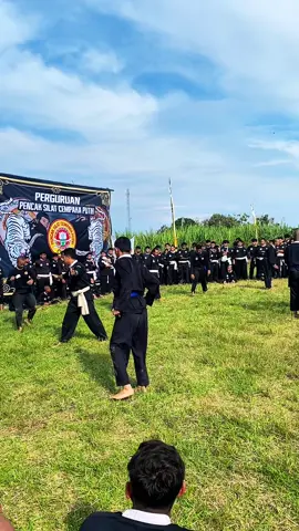 #pscp1974 #pscppusatmagetan 