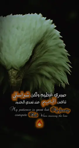 #تصميم_فيديوهات🎶🎤🎬 #شراستي#شعب_الصيني_ماله_حل😂😂 