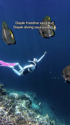 Emang serba bisa anaknya🤭 P info partner freedive sama diving😌🙏🏻 #scubadiving #freediving #freedive #diving #fyp 