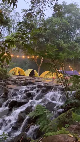 🍃 #fypシ #takengon #acehtengah #wisataaceh 