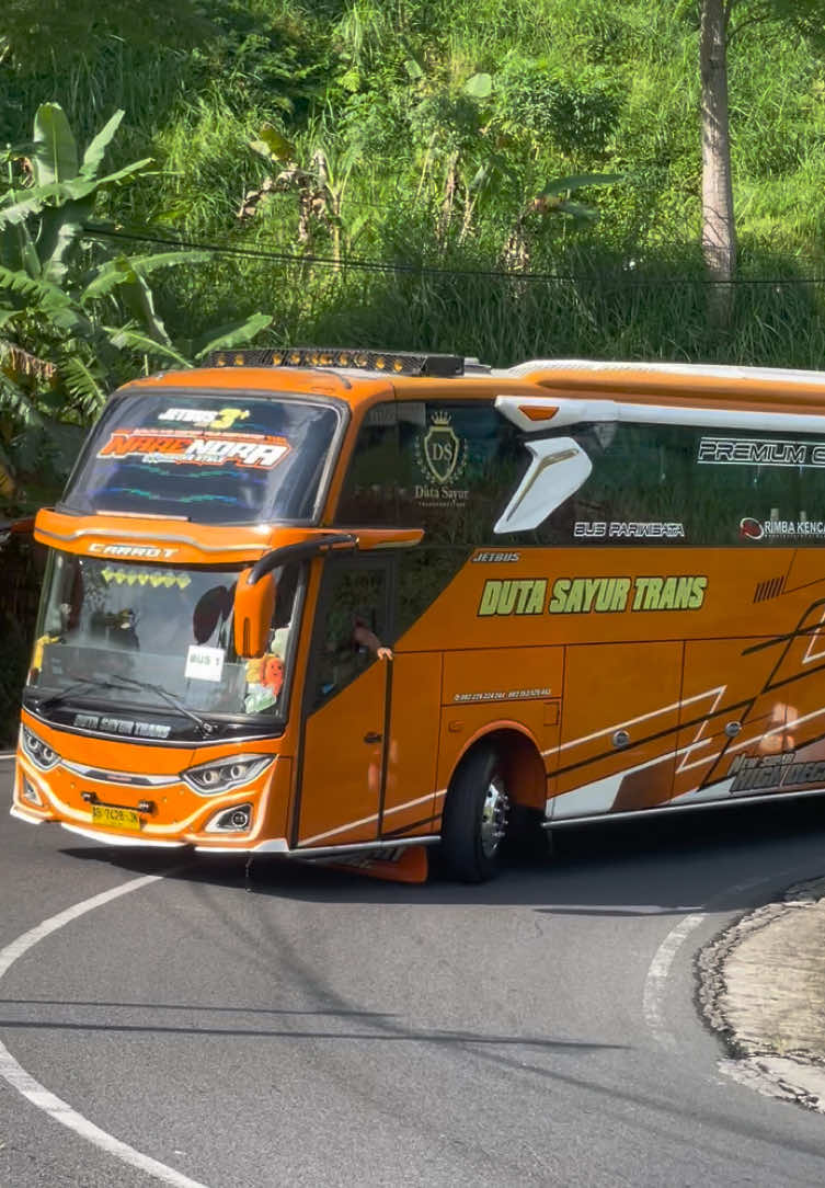 Asekkk bukit berbunga narendra🤩🤩#busmaniacomunityindonesia #busmaniacommunity #busmania #busmaniaindonesia #busmaniacommunity #busmaniacomunityindonesia @RemukanBakwan @rkwhy27 @Lucky_Tonk_14 @Farid saputro @sahabat_narendra @yohanasukasuka🤙🏻 @🇰 🇮 🇳 🇬  🇱 🇪 🇴 @Davits @Mr. OkDj 