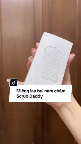 Trời ơi cái quạt 😳 #quynhtietkiem #mienglaubui #scrubdaddy 