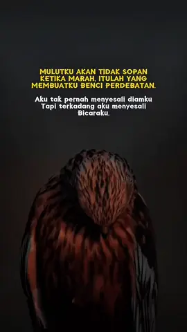 #kata 
