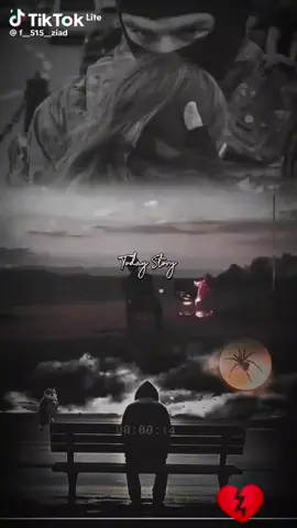 مجرد ذوق