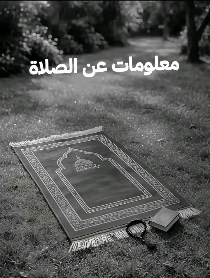 #الصلاة_على_النبي_محمد🌿🌹 #الصلاة_ثم_الصلاة_ثم_الصلاة #الصلاة_الصلاة☝️ #الصلاة_والسلام_عليك_ياحبيبي_يارسول_الله #