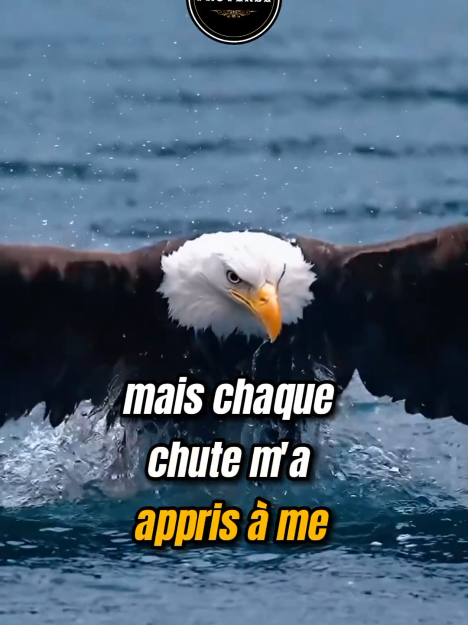 La vie me blesse pour me rendre plus fort 🔥 #france🇫🇷 #conseil #citation #inspiration 