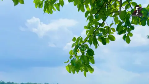 পৃথিবীর সবচেয়ে সুন্দরতম বিষয় হচ্ছে কোনো দুঃখই চিরস্থায়ী নয় ।  কন্ঠস্বর- নাহিদুল ইসলাম  #bangladeshtiktokofficial #poetry #banglaquotes #priyobeli #fyp #caption #kobita #bangladeshtiktok @TikTok @TikTok Bangladesh @tiktok creators 