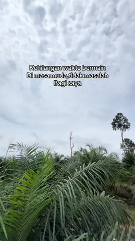 Setelah ini aku bisa main kapan saja🫵🏻😜#sawitunggul🌴🌴🌴 #sawitjambi #tuan #muda #arya #sawitsumatraindonesia🌴🌴🌴🇮🇩🇮🇩 #petanimudaindonesia🇮🇩 