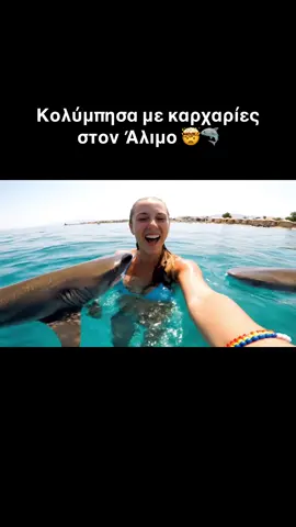 Κολύμπησα με καρχαρίες στον Άλιμο! 🤯🦈 #ai #aiart #aiwonderlab #sharks #alimos #gr 