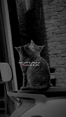 ♥️🌚..#foryou #foryoupage #tiktok 