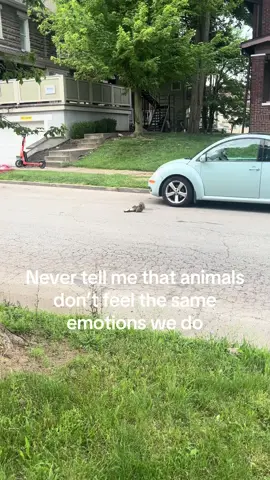 this ruined my morning 