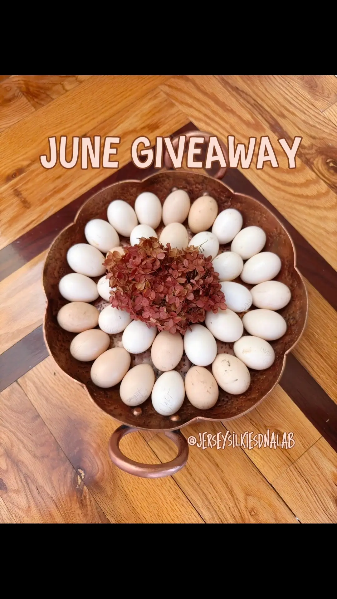 🎁 🥚JUNE GIFTING IS HERE! 🥚🎁 We’re kicking off summer with a next-level giveaway that celebrates everything we love, beautiful birds, strong genetics, and YOU, our amazing chicken community! 💛🐣 ✨ THE ULTIMATE PRIZE ✨ One lucky winner will take home: 🥚 One dozen Hen’s Choice hatching eggs (from our carefully selected Silkie and Cochin lines) 🧬 Three DNA sexing tests from Jersey Silkies DNA Lab. know what you’ve got before the crowing starts! HOW TO ENTER: ✅ Like & Save this post ✅ Tag 2 friends in the comments & share your favorite prize! ✅ Follow us @jerseysilkiesdnalab on Instagram and Facebook.  BONUS ENTRIES 🌟 Share this post to your stories & tag @jerseysilkiesdnalab 🌟 Tag as many friends as you’d like each tag = extra entry! 📅 Giveaway opens: 6/16 at 10AM EST ⏳ Closes: 6/20 at 11:59PM EST 🏆 Winner announced: 6/21 on this page! U.S. & Canada only | Must be 18+ to enter 🔒 Open to public & private accounts no purchase necessary. 🚫 This giveaway is not affiliated with or sponsored by Instagram. ⚠️ Watch out for fakes! Our only account is @jerseysilkiesdnalab. 💬 We will never ask for payment info winner will be contacted ONLY by us. Good luck everyone.#Lemon8 