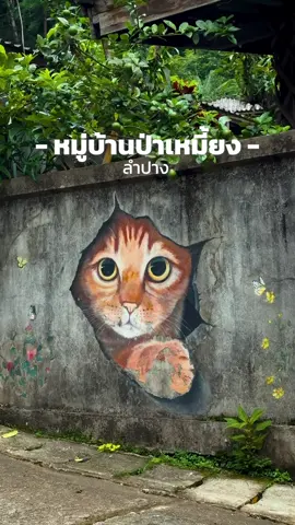 หมู่บ้านสโลไลฟ์🍃#บ้านป่าเหมี้ยง #เที่ยวลําปาง #บ้านป่าเหมี้ยงลําปาง #ลําปาง #กล้าtravel 