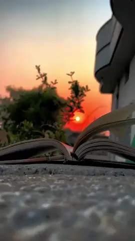 #feelthebeautyofnature🌨 🌿#foryoupage #foryou #trendingvideo #trendingnow #