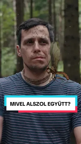 🦟 Szúnyogmentes éj – vegyszergőzzel? 🌫️
 A spirál nem válogat: a tüdőd, a gyereked, a cicád is belélegzi… 😮‍💨🐱 #magyarzold #MZ #szúnyogirtó #szúnyog#szúnyogcsípés #beltériszennyezés #egészségkockázat #tudatosotthon #newfinds