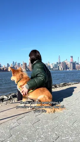 To the dog you got in your 20’s… ❤️