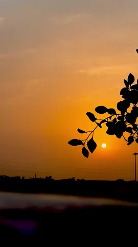 When the sun dips beneath the horizon, even endings feel like new beginnings❤️‍🩹🤌 ##SunsetVibes   #GoldenHour   #Silhouette   #ChasingSunsets   #EveningReflections   #NatureMood   #SoulfulMoments  