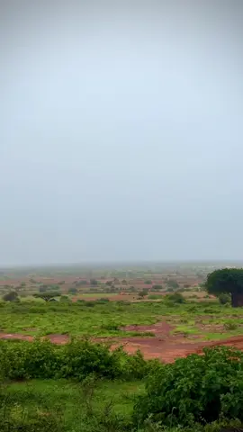Duledka Kismyo jwi qurux badan #kismayotiktok #jubbaland💚💙🤍 #somalia 