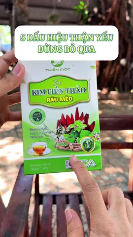 Nếu có 2 trong 5 dấu hiệu này thì thận đang yếu, muốn thận khoẻ hãy tập lối sống sinh hoạt lành mạnh kết hợp trà kim tiền thảo râu mèo #thaomockhanhhoa #trakimtienthao #traanthan 