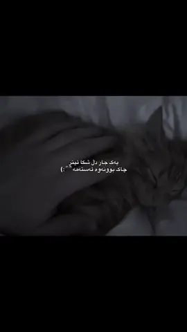 چاک بوونەوە ئەستەمە🖤،،،،#xoshnaw #fypシ゚ #actives? #aCccc #fyyyyyyyyppppppppppppppppppppppppppppppppppp 