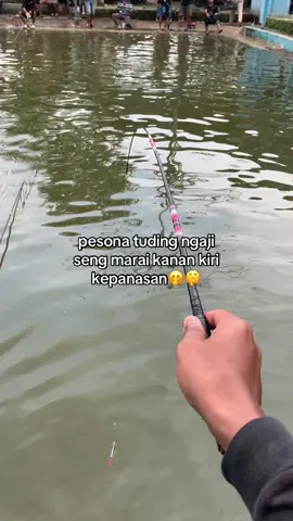 #pemancing #rilisanlele #rilisanlelejawatimur #malang #katakatamancing🎣 @putriinnayah fishing 