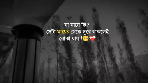 মা মানে কি? সেটা মায়ের থেকে দূরে থাকলেই বোঝা যায়.!🥺❤️‍🩹 #foryou #trending @Tiktok Bangladesh @TikTok 