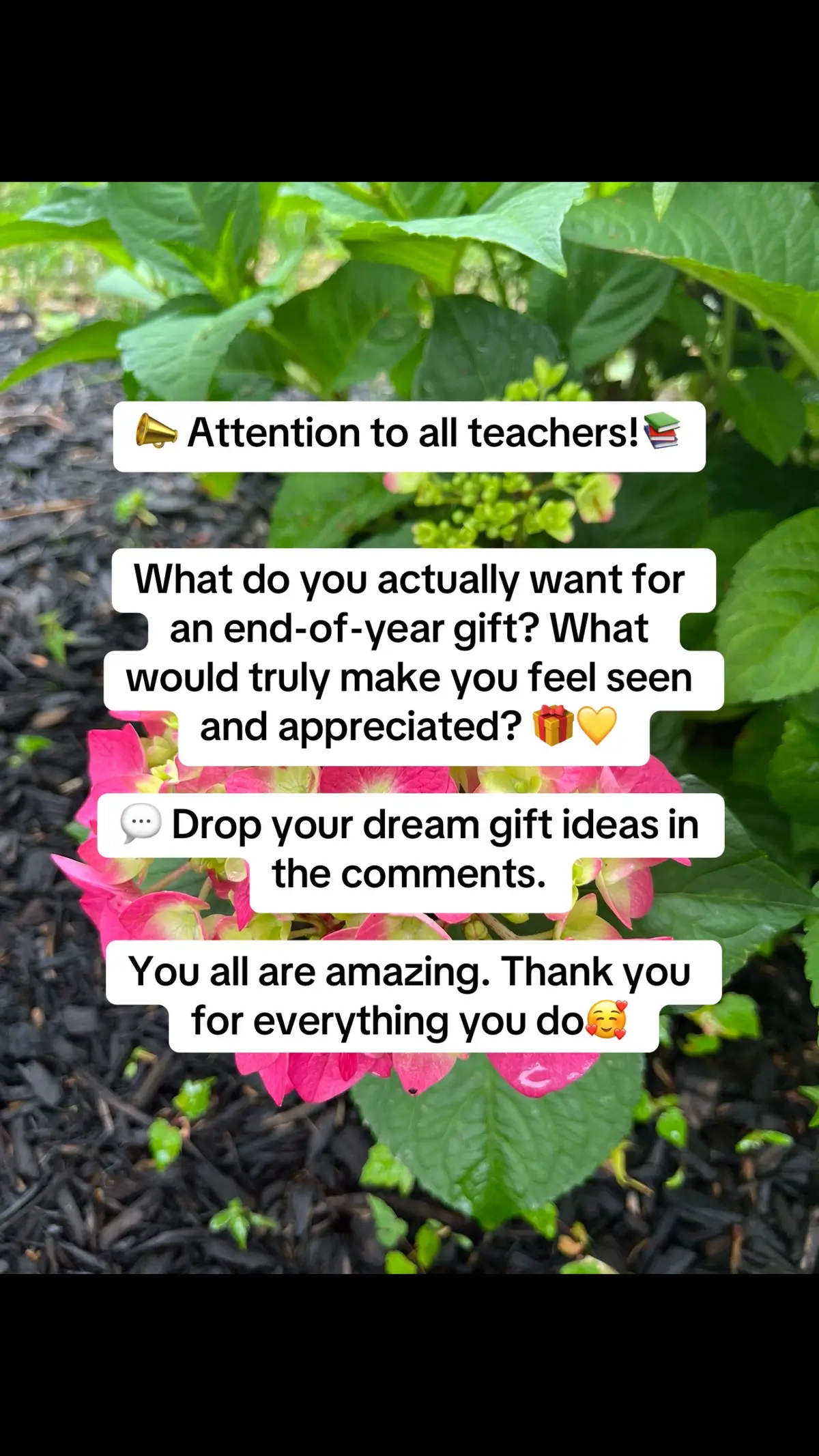#teachersoftiktok #teachergiftideas #endofyeargifts #teacherwishlist #teacherappreciation #teacherlife #thankyouteachers #giftguide #classroomheroes #tiktokteachers