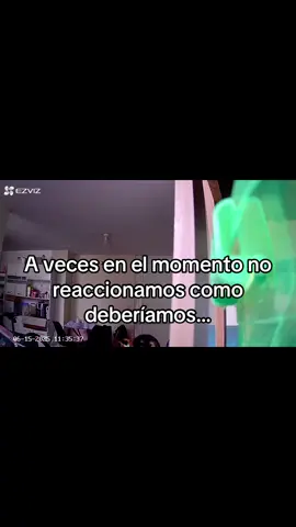 Lo siento, es que no hay nada que me de más miedo que un temblor, perdón mis michis bellas #Perú -#terremoto #miedoyterror -#michis #gatos #paratiiiiiiiiiiiiiiiiiiiiiiiiiiiiiii #fypシ゚ #perdon 