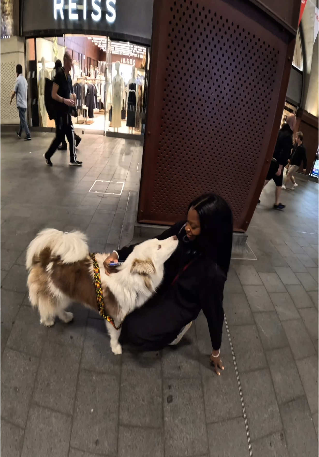 Interactions with my dog!!  #husky #viral #pets #fyp #foryou #dogs #pets #london #viola #fyppp 