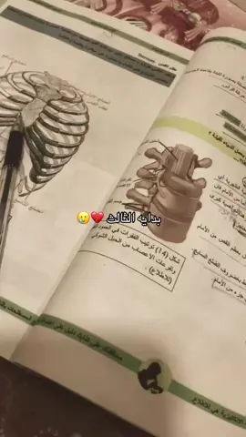 نصائحكم للثالث 💁🏻‍♀️  #ثالث #الثالث_متوسط #viral #fypシ゚  #fypシ゚viralシ #دفعه2025 #نتائج  #الشعب_الصيني_ماله_حل😂😂 #iraq  #بدايه_خير_ان_شاء_الله #fypシ゚ #لايك #سوره_طه  #هاشتاق #نتائج #explore #ثالثيون #2026  #الشعب_الصيني_ماله_حل😂😂  #اكسبلور #اكسبلوررر #اكسبلوررر 