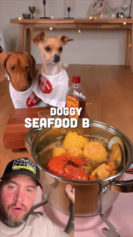 #duet THESE DOGS ATE LIVING THE HIGH LIFE - @thecedlife - IG - richardsalesofficial #viral #xyzbca #FYP 