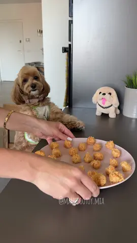 Who’s ready for some homemade doggy meatballs? 🐶🍖 Your furry friend will thank you! 💛 #DogTreats #HomemadeForDogs #maltipoo 