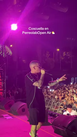 Un show increíble el de Cosculluela en Perreolab Open Air 🔥 #festivalreggaeton #perreolabopenair #cosculluela 