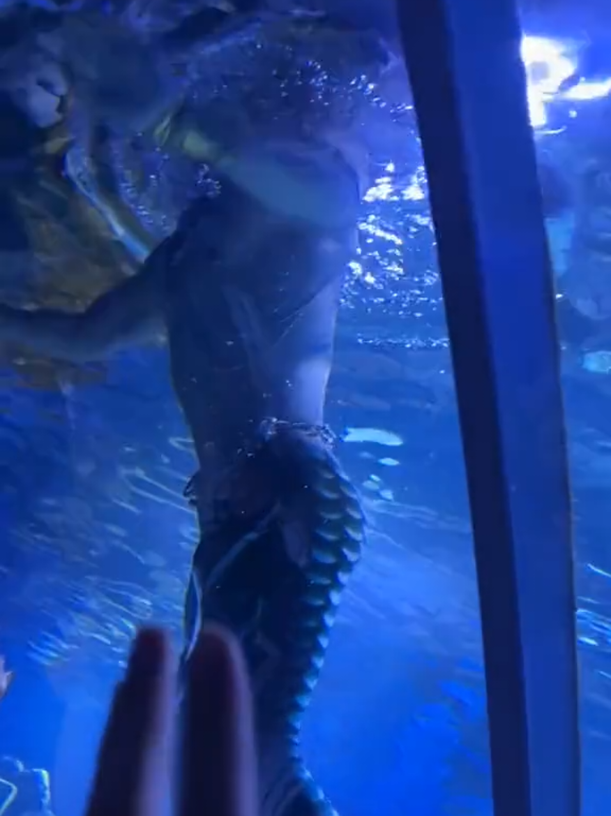 Everyone was screaming, so much love for Rafayel! 😍 🎡 : Pengxin Jiading Ocean World (彭鑫嘉定海洋世界) #PengxinJiadingOceanWorld #彭鑫嘉定海洋世界 #rafayel #rafayelloveanddeepspace #loveanddeepspace #qiyu #qiyuloveanddeepspace #seagod #mermaid #mermaidman #merman #cosplay #china 
