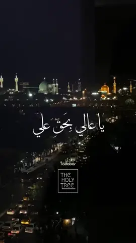 #ياعلي_مدد اللهم احفظ شيعة مولانا أمير المؤمنين علي عليه السلام كثفوا الدعاء والصدقة للحفظ والنصرة  #الممهدون_للمهدي #منتظرون 