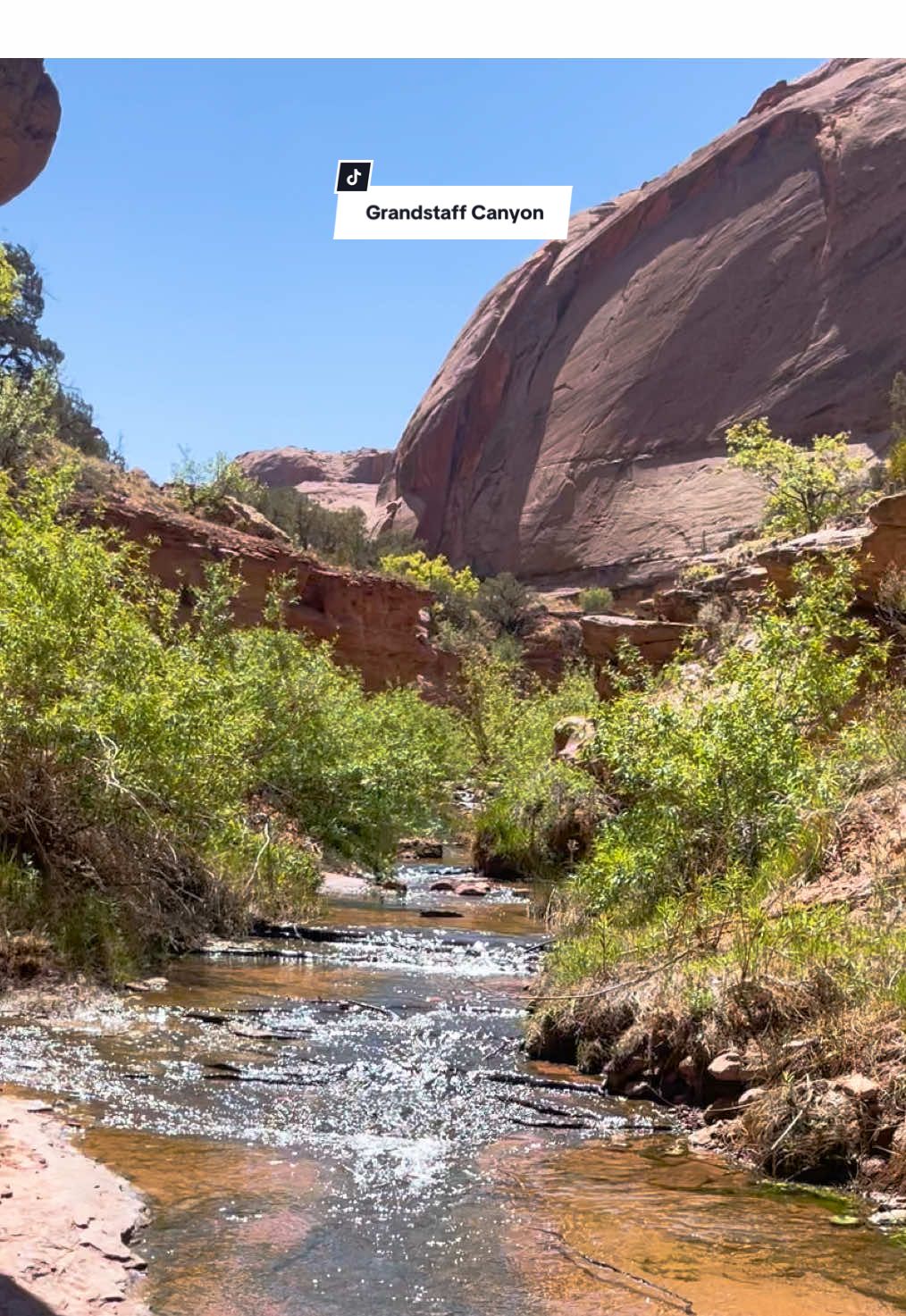 Una caminata con río, sombra, cañones y arches.📍Grandstaff Canyon, Moab, Utah Nosotros fuimos con nuestros sobrinos y familia… ¡y todos lo disfrutamos al máximo! Vistas increíbles, naturaleza y tranquilidad a solo minutos del centro de Moab 🏞️ Si buscas un plan diferente, accesible y lleno de vida… ¡este es! Guárdalo para tu próxima aventura en Utah ✨  #creatorsearchinsights  #grandstaffcanyon #moabutah #utahhikes #Senderismo #hiddengems #dogfriendlyhikes #familytime #Aventura #Naturaleza #lugaressecretos #ExploraUtah #UtahHikes #utah #adventuretime #utahcontentcreator #thingstodoinmoab #tiktoktravel #visitutah 
