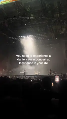 the way we all started screaming when we heard the intro #danielcaesar #bestpart #music #foryou #concert #fyp #underrated 