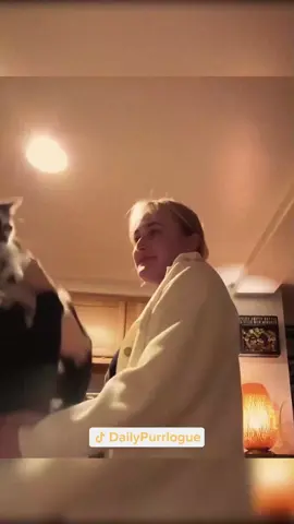 #cat #catsoftiktok #catlovers #cats #funnycats #catlover #funnycat #fyp 