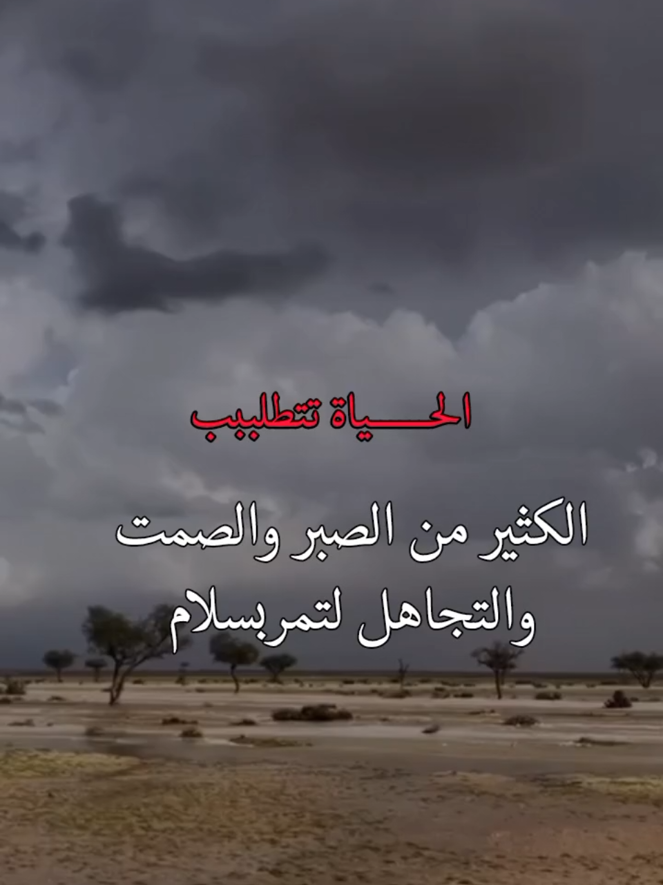 #الحياة #foryoupag #frypgシ #foryo #هدوء_الليل 