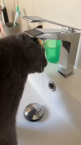 Je suis pas handicapé…😂