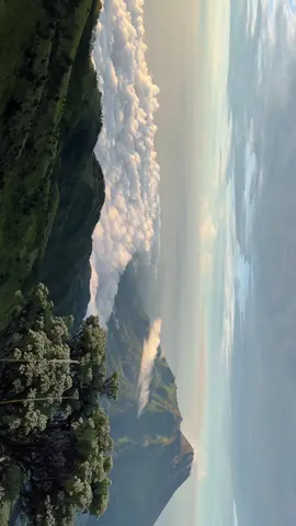 yakin gamau ke merbabu via suwanting, bunga edelweis nya cantik bangettt🥺  #bungaabadi #merbabu #mtmerbabu3145mdpl #pendakigunung #pendakiindonesia #masukberandamuu #fyp 