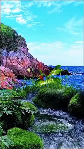 #creatorsearchinsights  #Nature wallpaper #fypviralシ #how to set wallpaper on phone