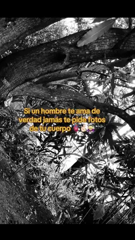 #paratiiiiiiiiiiiiiiiiiiiiiiiiiiiiiiiiii🦋 #sigueme_para_mas_videos_asi 