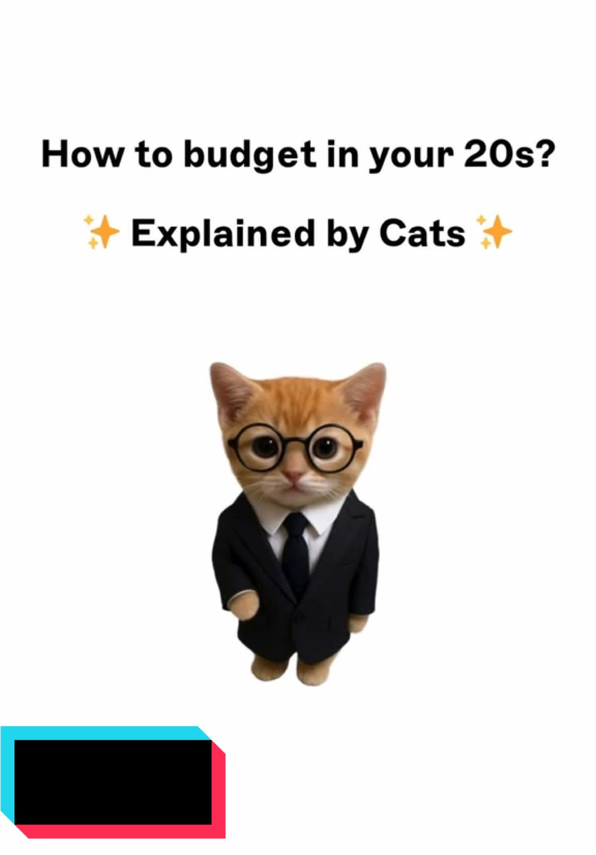 Kitty explain how to budget in your 20s
