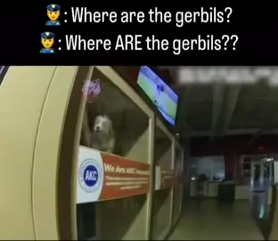 👮‍♂️: